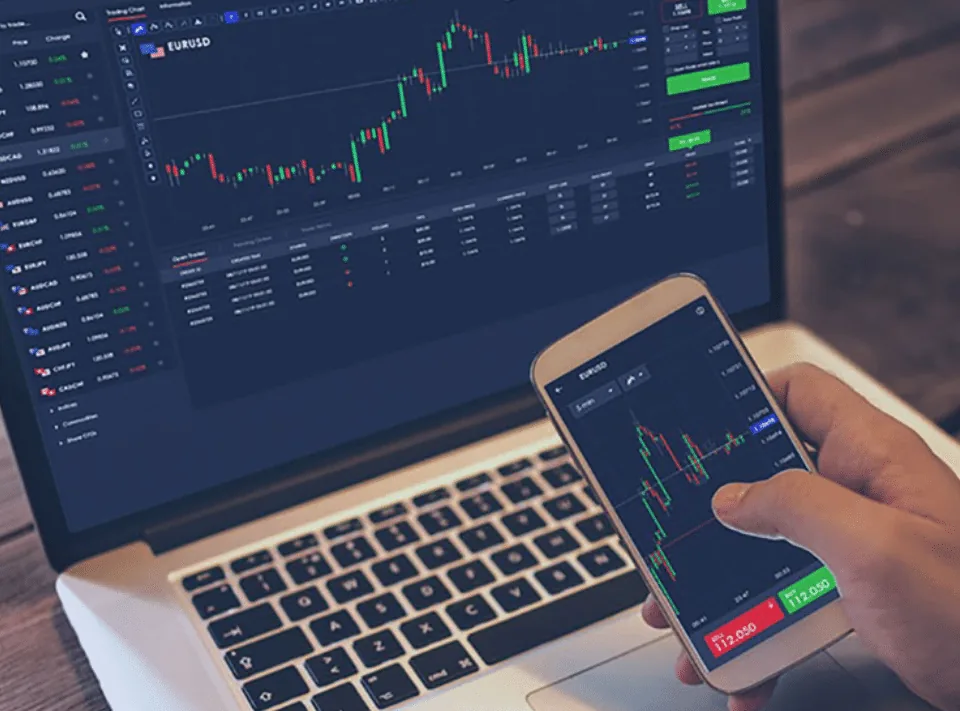 Portfolio growth shown on a finance dashboard